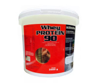 Activevites Whey Protein 90 Complex