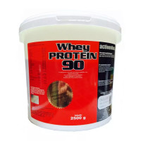 Activevites Whey Protein 90 Complex