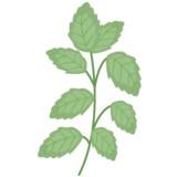 Меліса Меліса