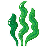 Спирулина Спирулина