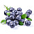Blueberry (чорниця) 