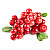 Cranberry (журавлина) 