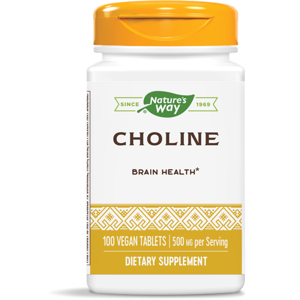 Natures Way Choline 500 mg