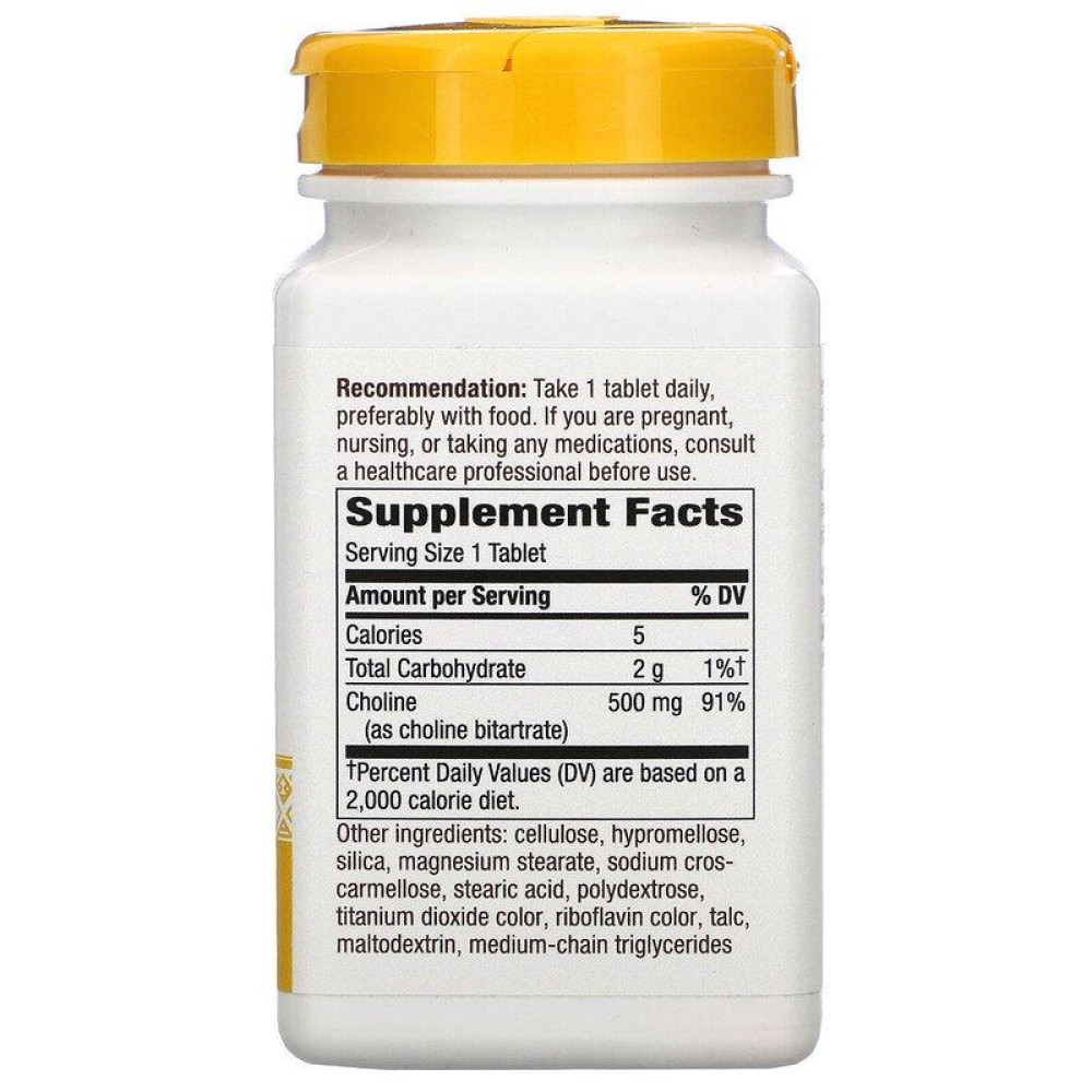 Natures Way Choline 500 mg