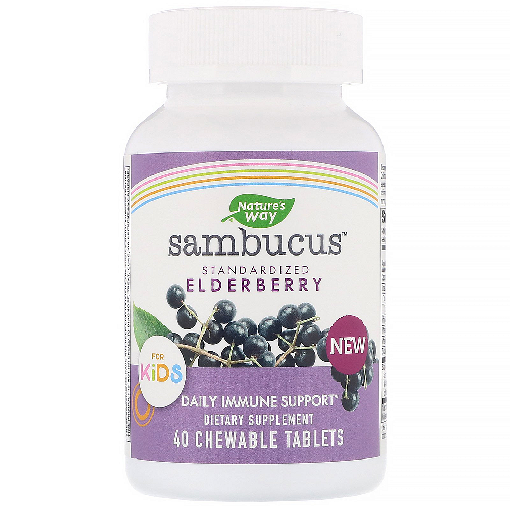 Nature's Way Sambucus for Kids Standardized Elderberry
