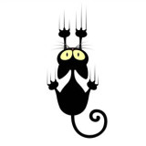Котячий кіготь