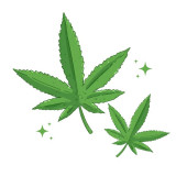 CBD олія CBD олія