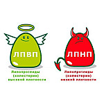 Зниження холестерину