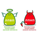 Снижение холестерина Снижение холестерина