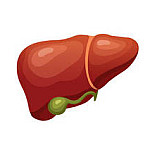 Для печінки