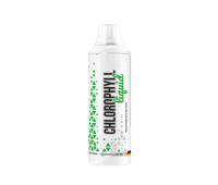 MST Liquid Chlorophyll