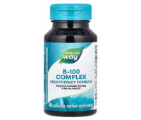 Nature's Way B-100 Complex