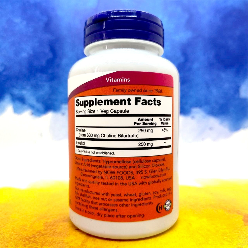 NOW Choline & Inositol 500 mg 100 капсул