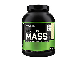Optimum Nutrition Serious Mass Optimum Nutrition Serious Mass