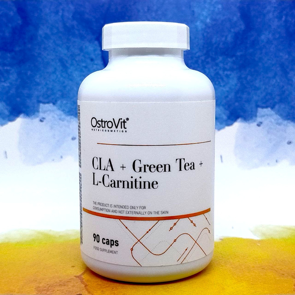 OstroVit CLA + Green Tea + L-Carnitine 90 капсул
