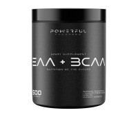 Powerful Progress EAA + BCAA