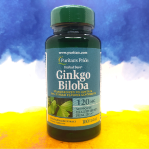 Puritan's Pride Ginkgo Biloba Standardized Extract 120 mg