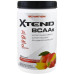 Фото Scivation Xtend