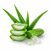 Aloe Vera (алое віра) 