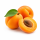 Apricot (абрикос) 