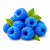 Blue Raspberry (блакитна малина) 
