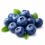 Blueberry (чорниця) 