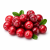 Cranberry (журавлина) 