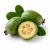 Feijoa (фейхоа) 