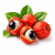 Guarana (гуарана) 