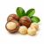 Macadamia (макадамія) 
