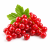 Red Currant (красная смородина) 