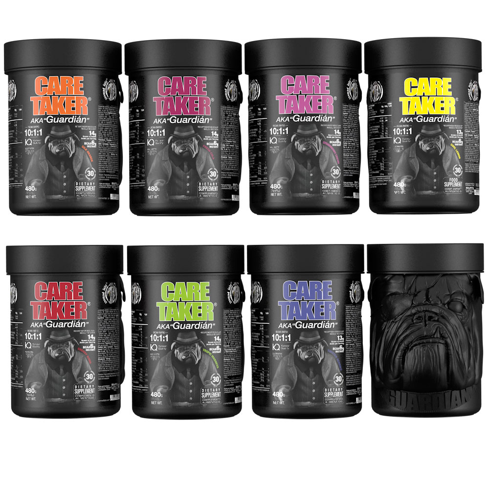 Zoomad Labs Caretaker BCAA 480 грам