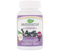 Nature's Way Sambucus for Kids Standardized Elderberry