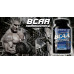 Фото Dymatize Nutrition BCAA Complex 2200