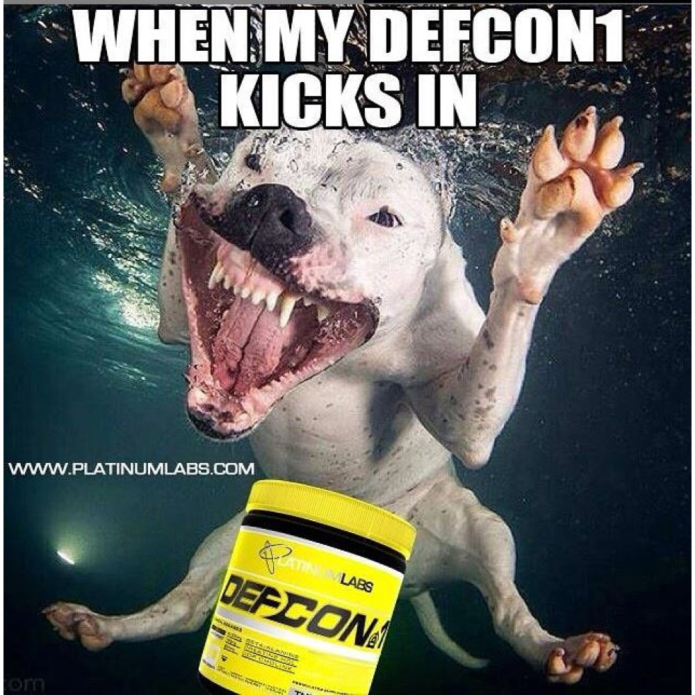 Platinum Labs Defcon 1