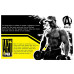 Фото Universal Nutrition Animal Pak