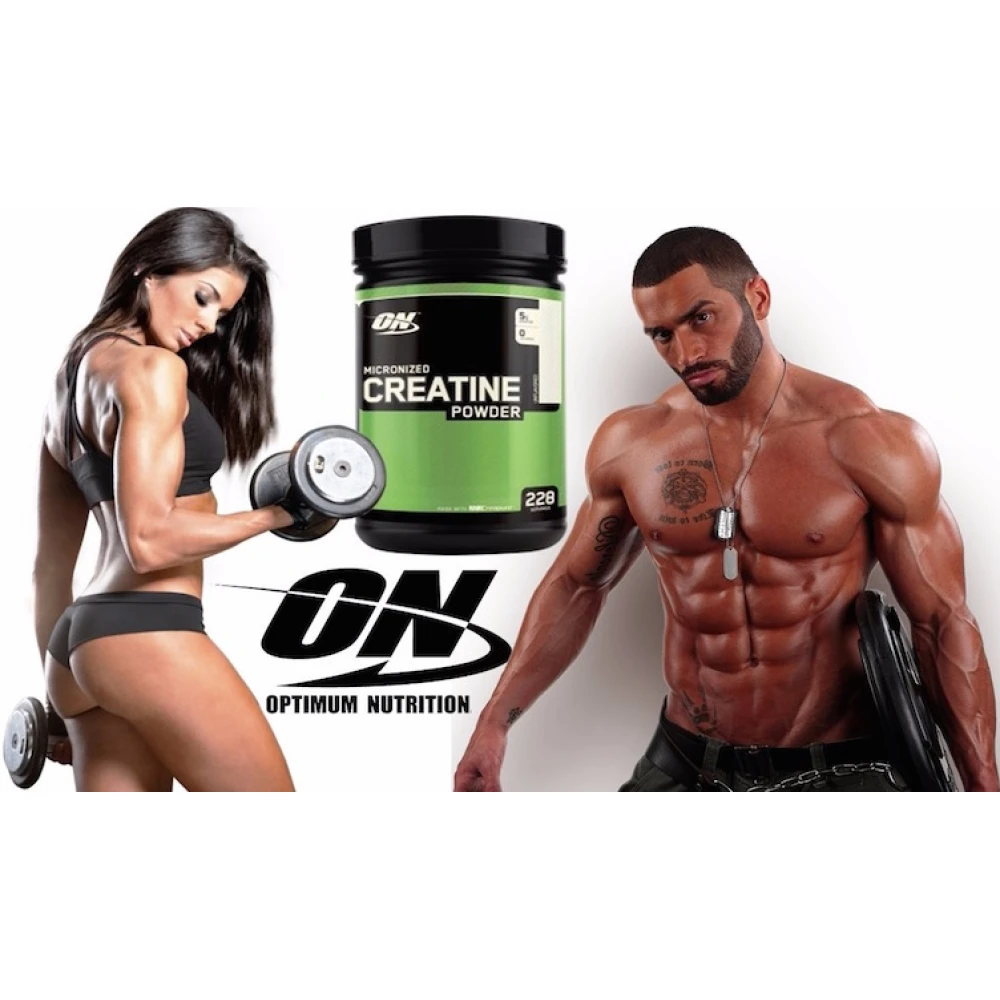 Optimum Nutrition Micronized Creatine Powder