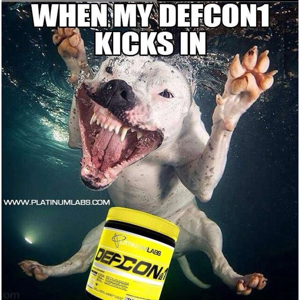 Platinum Labs Defcon 1