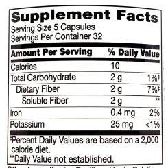 21 Century Psyllium Fiber 160 капсул