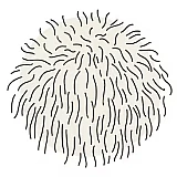 Гриб їжовик