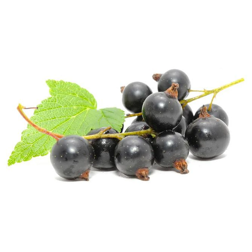 Sport Generation Gold Premium 100% Instant Whey Protein 900 грам, Black currant (чорна смородина)