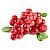 Cranberry (журавлина) 