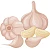 Garlic (часник) 