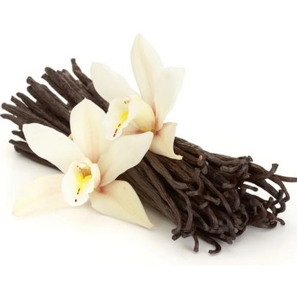 BioTech Micellar Casein 907 грамм, Vanilla (ваниль)