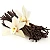 Vanilla (ваніль) 