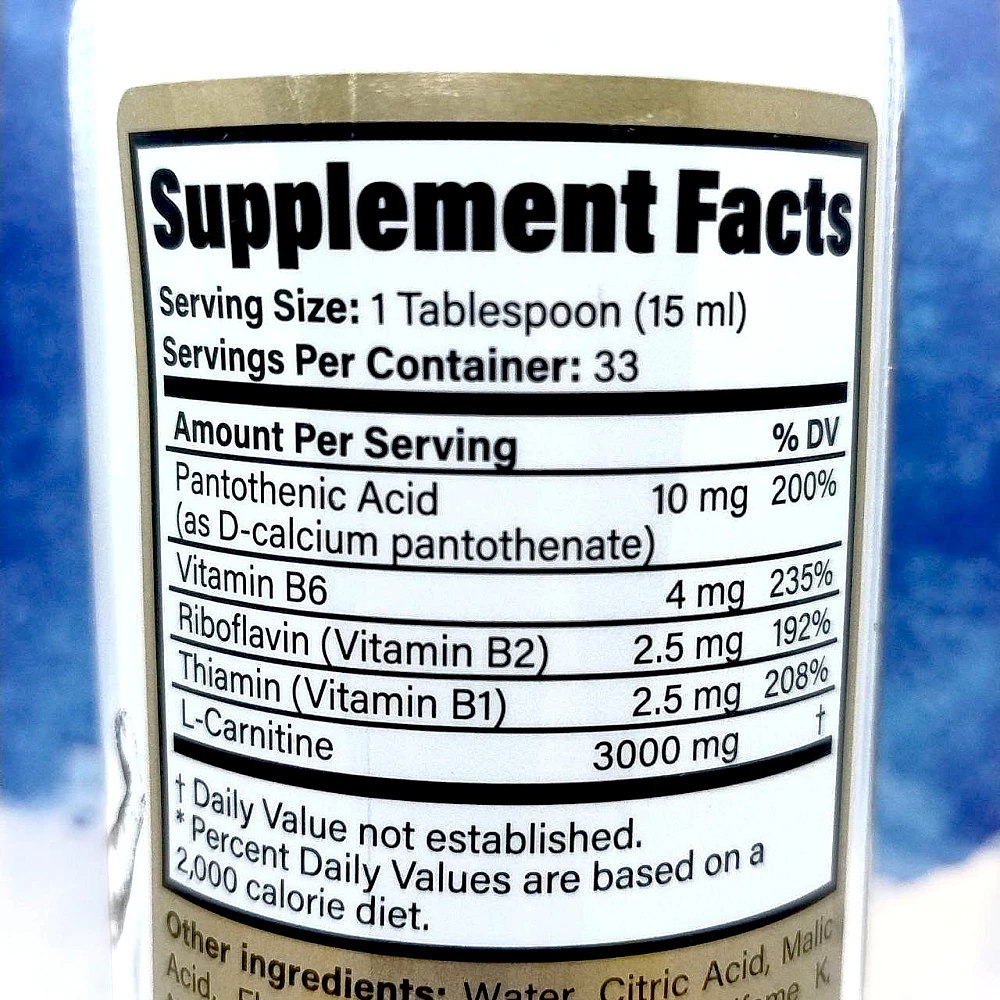 Kevin Levrone Gold L-Carnitine 3000 mg