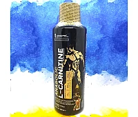 Kevin Levrone Gold L-Carnitine 3000 mg