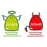 Зниження холестерину