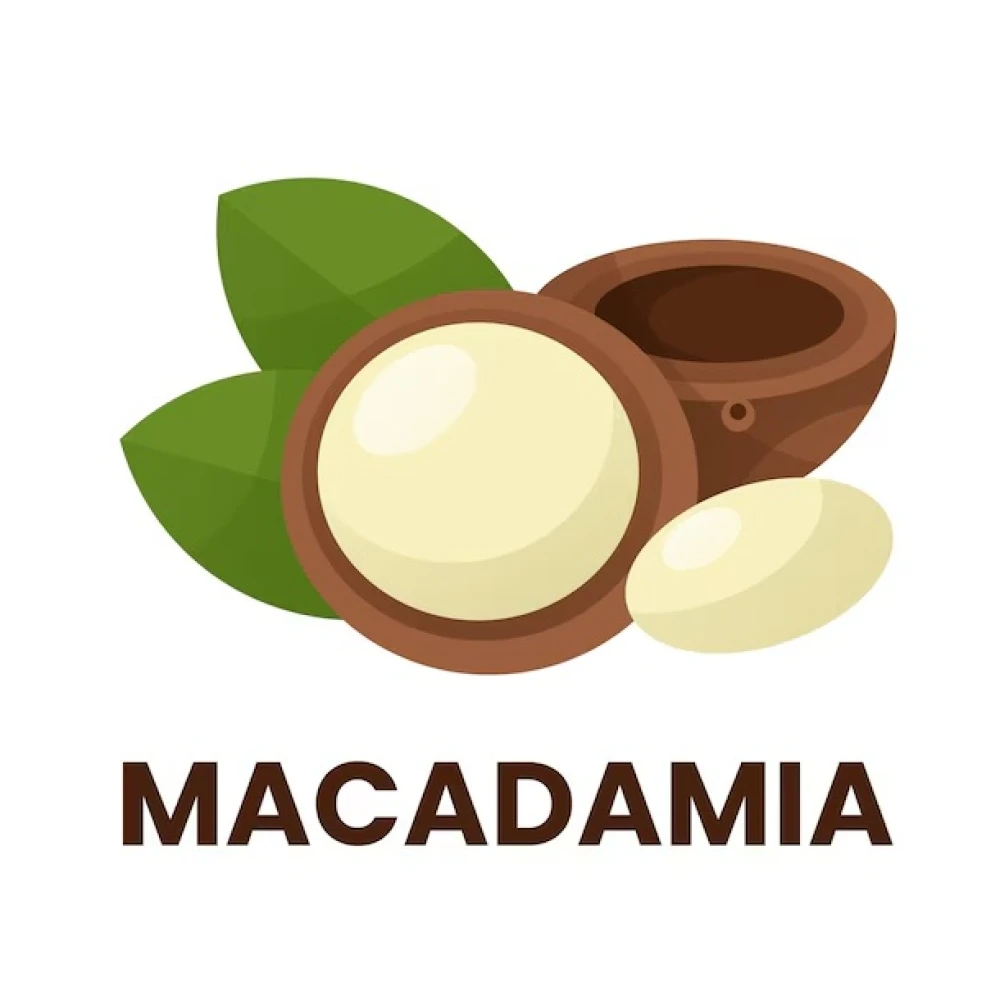 Power Pro 32% Protein Bar Без сахара 20 батончиков по 60 грамм, Macadamia (макадамия)