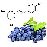 Ресвератрол